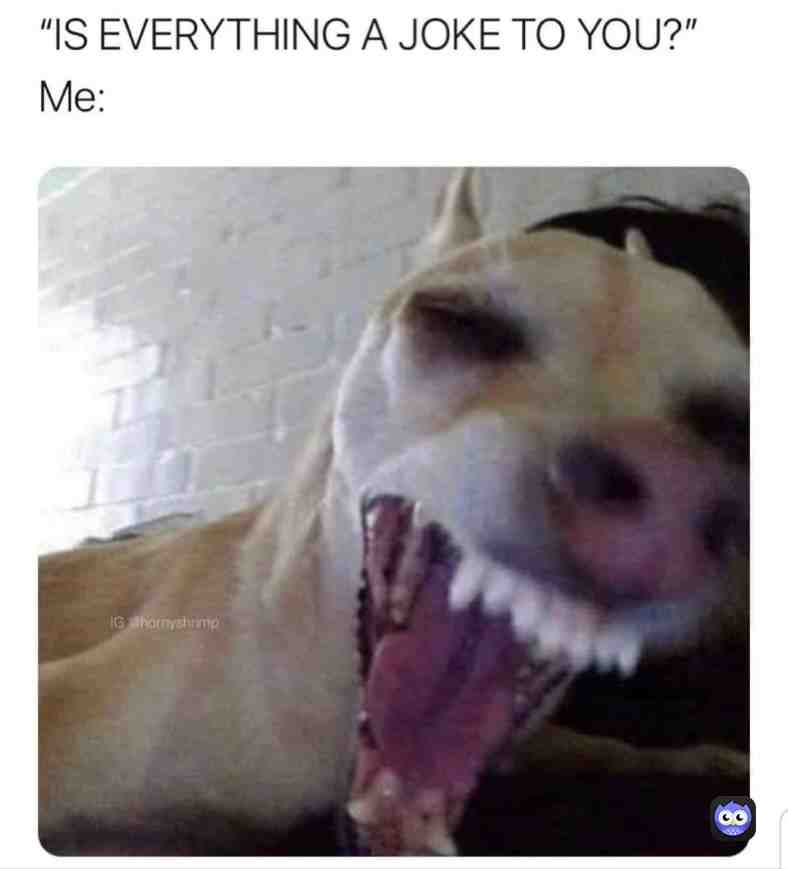 Meme shared by @looneylooser_