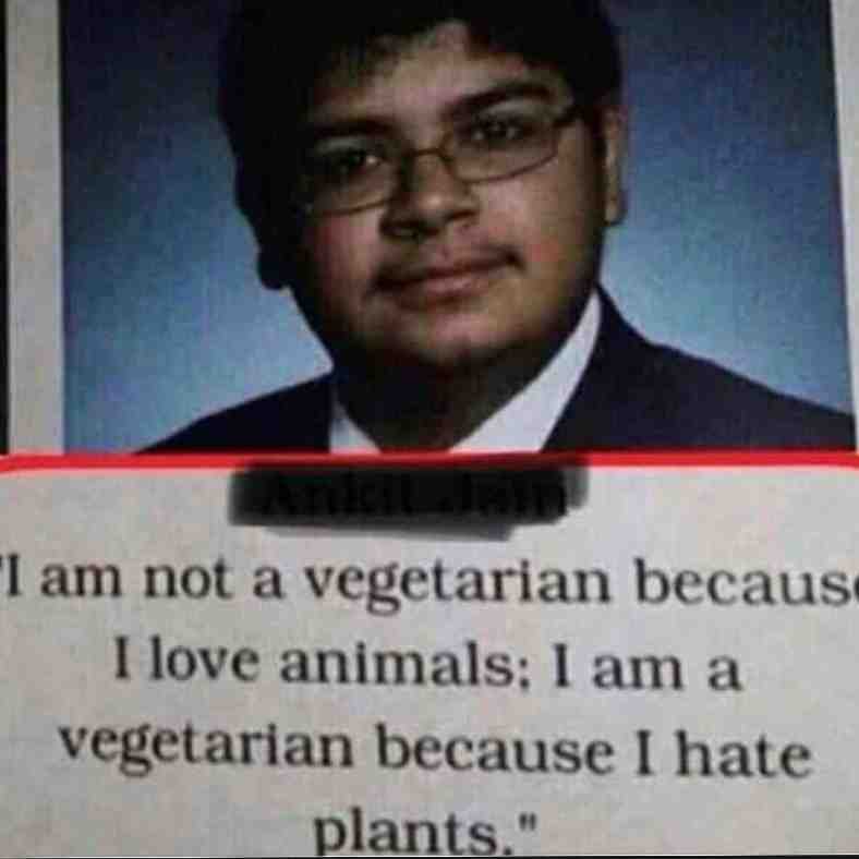 #Sarcasmtherapy #vegetarian #Diet