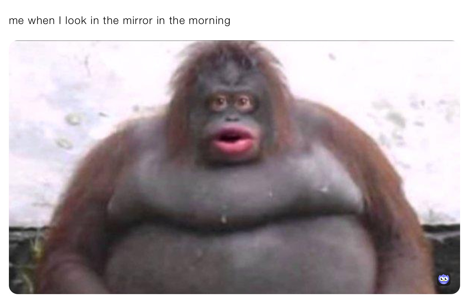 me when I look in the mirror in the morning 