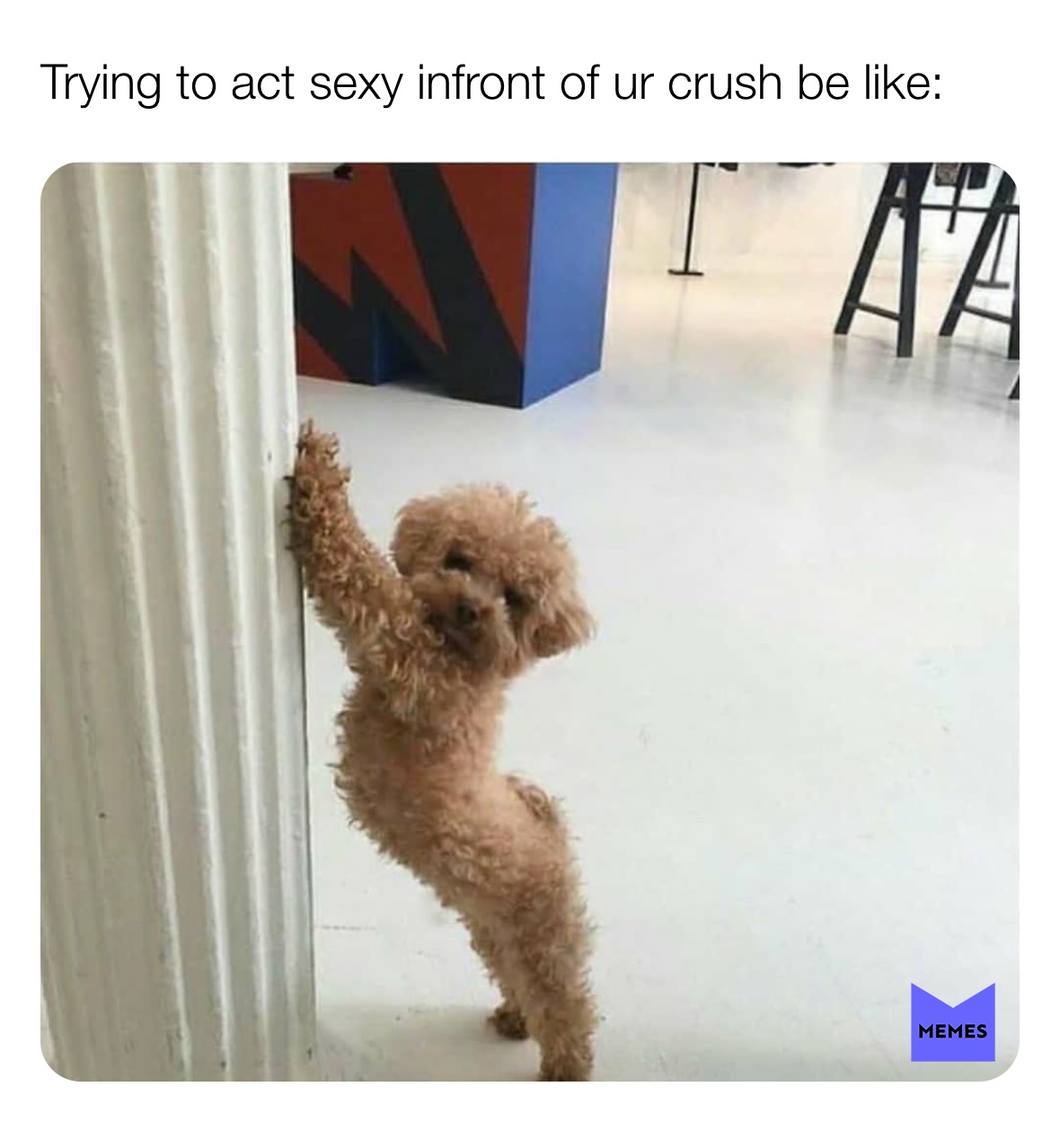 Meme by daily_dose_of_memes