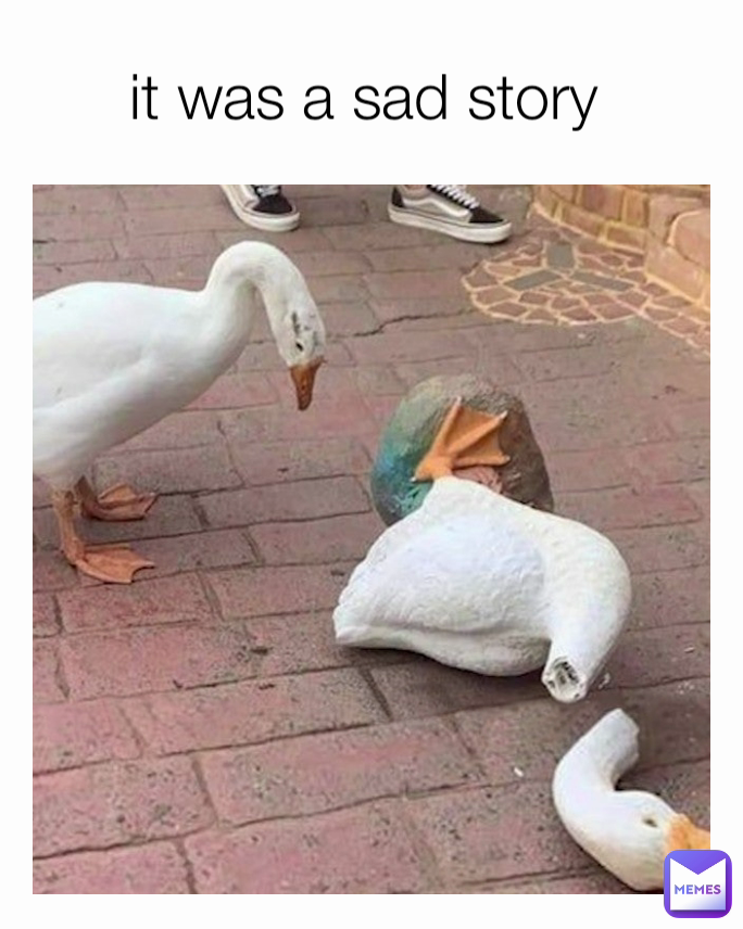 it was a sad story 