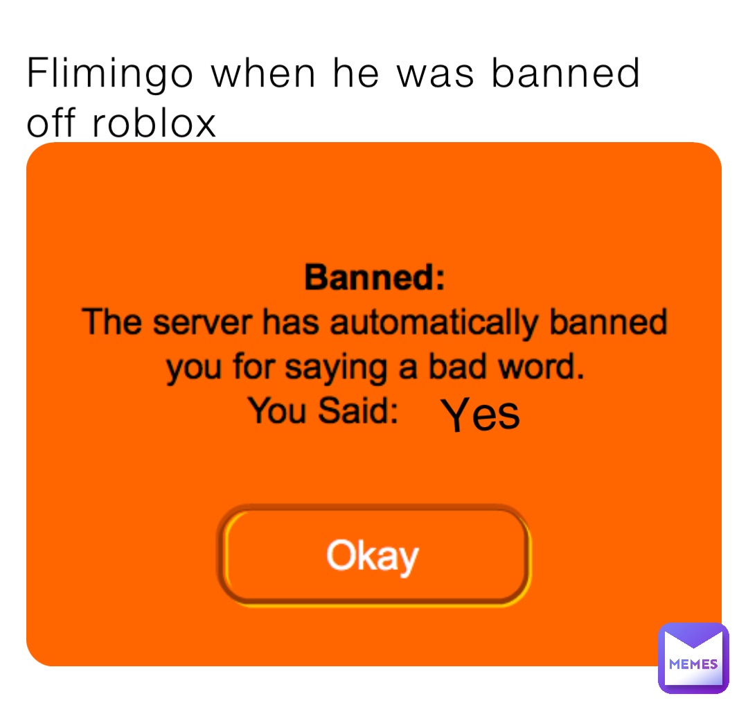 Flimingo when he was banned off roblox Yes