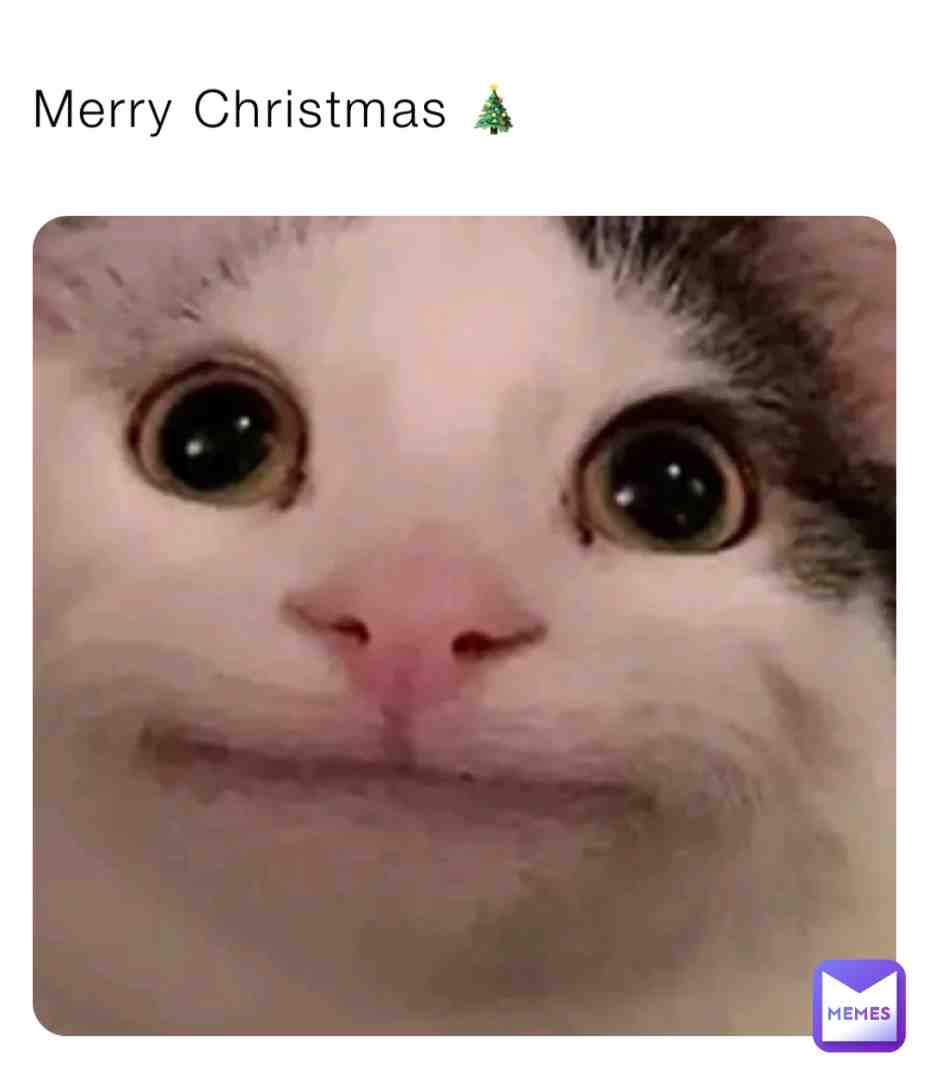 Merry Christmas 🎄