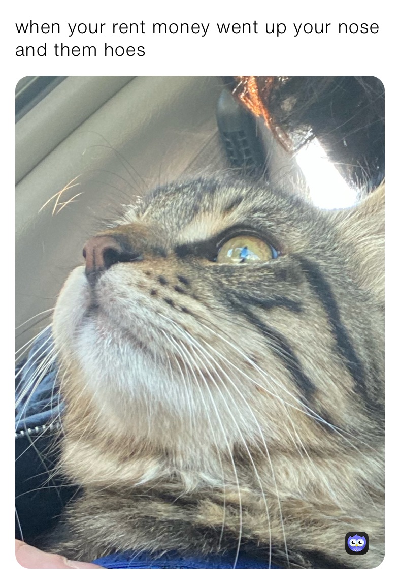 Meme by Morphin_Time_Bitch