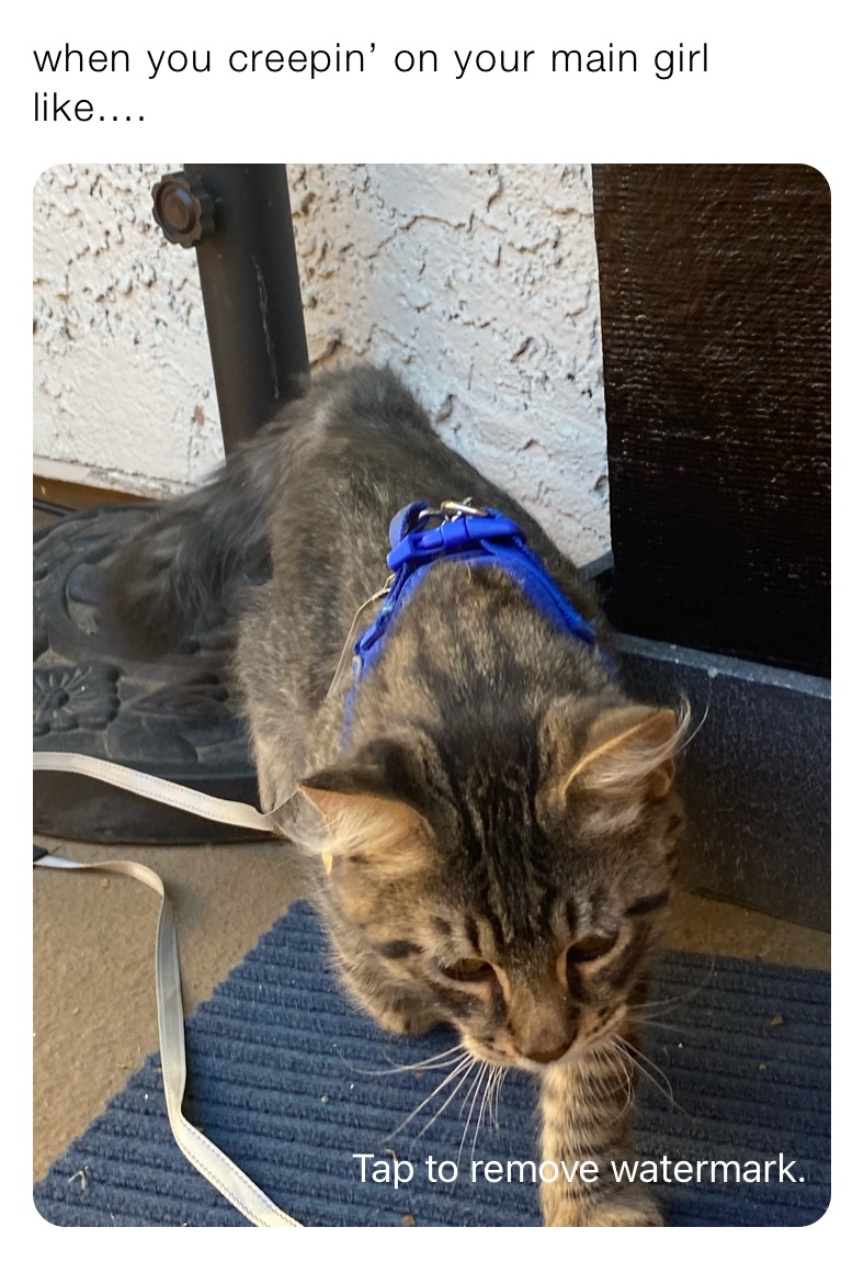 Meme by Morphin_Time_Bitch