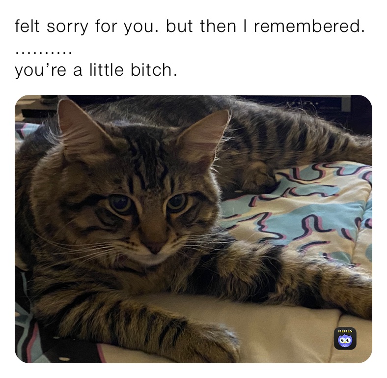 Meme by Morphin_Time_Bitch