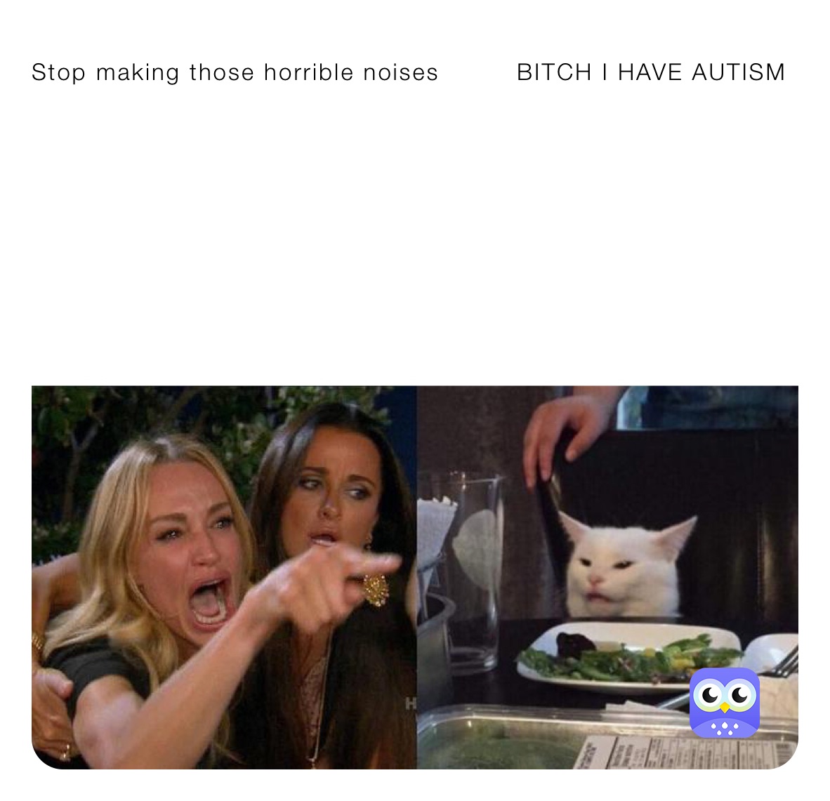 Stop making those horrible noises         BITCH I HAVE AUTISM