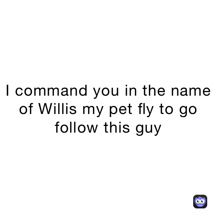 I command you in the name of Willis my pet fly to go follow this guy