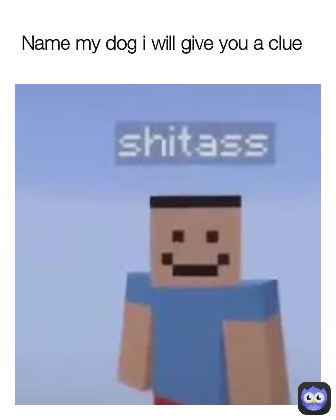 Name my dog i will give you a clue