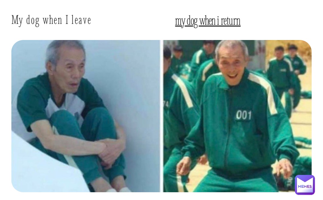 My dog when I leave My dog when I return