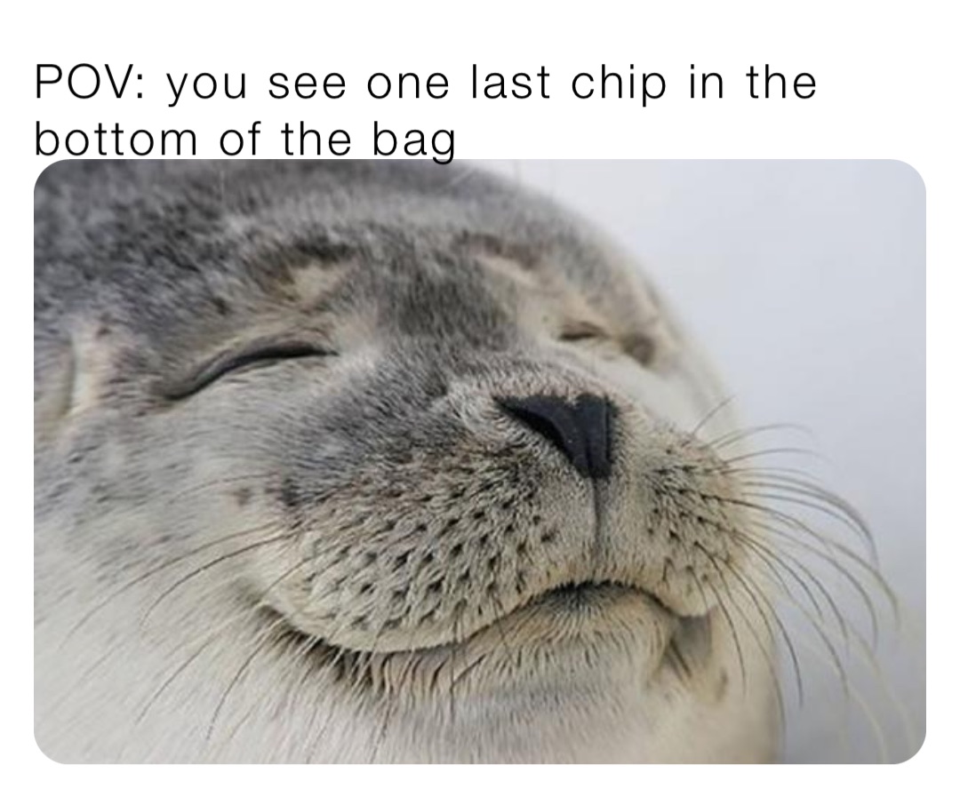 POV: you see one last chip in the bottom of the bag