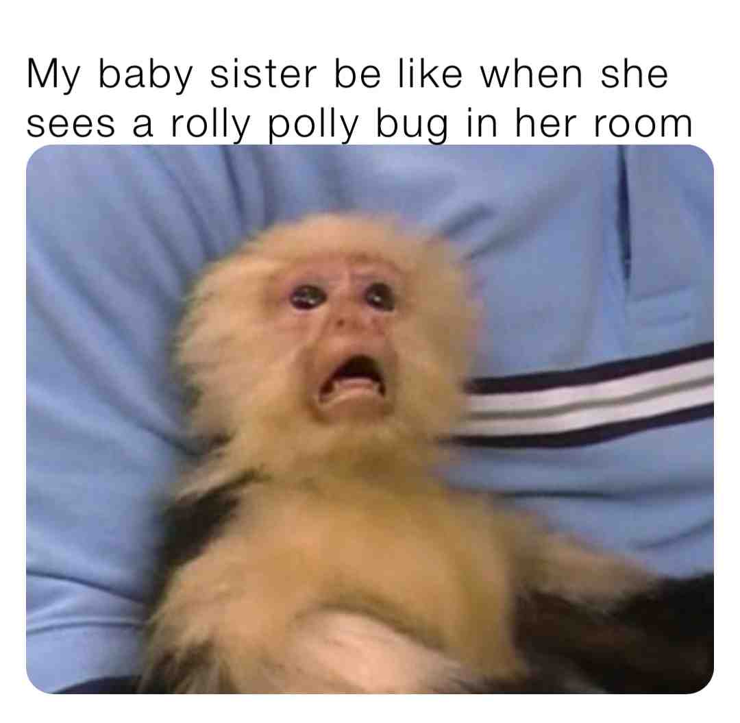 Meme