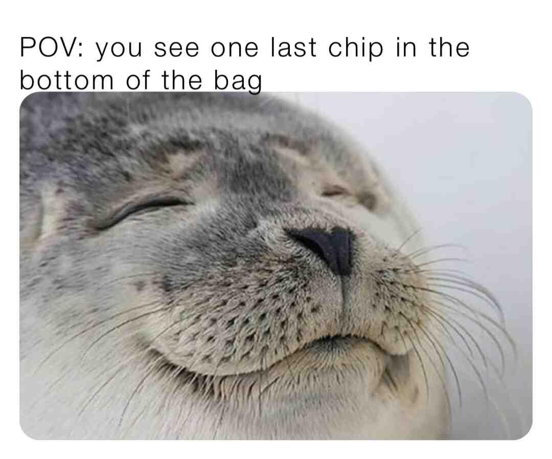 Meme