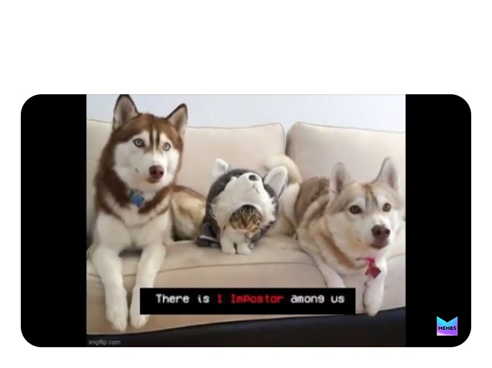 Meme by memes_sponge