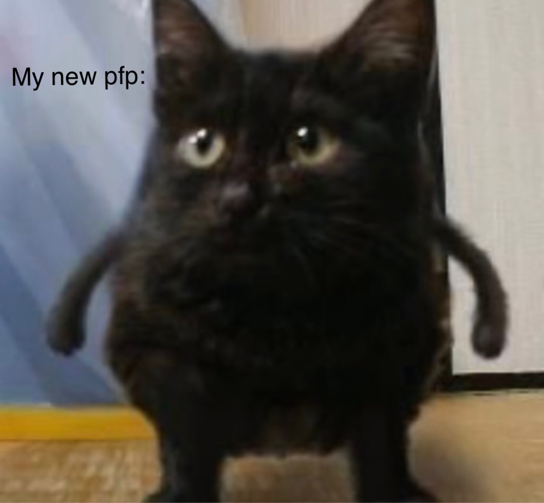 My new pfp: