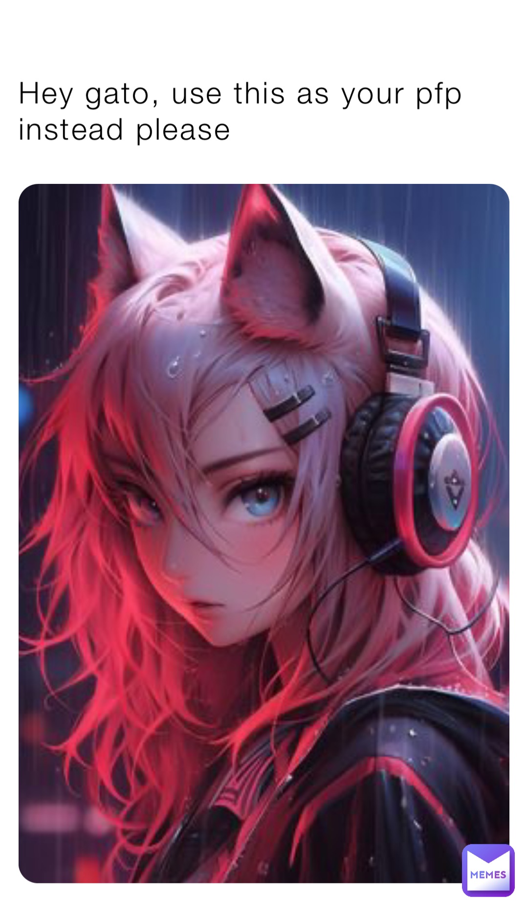 Hey gato, use this as your pfp instead please