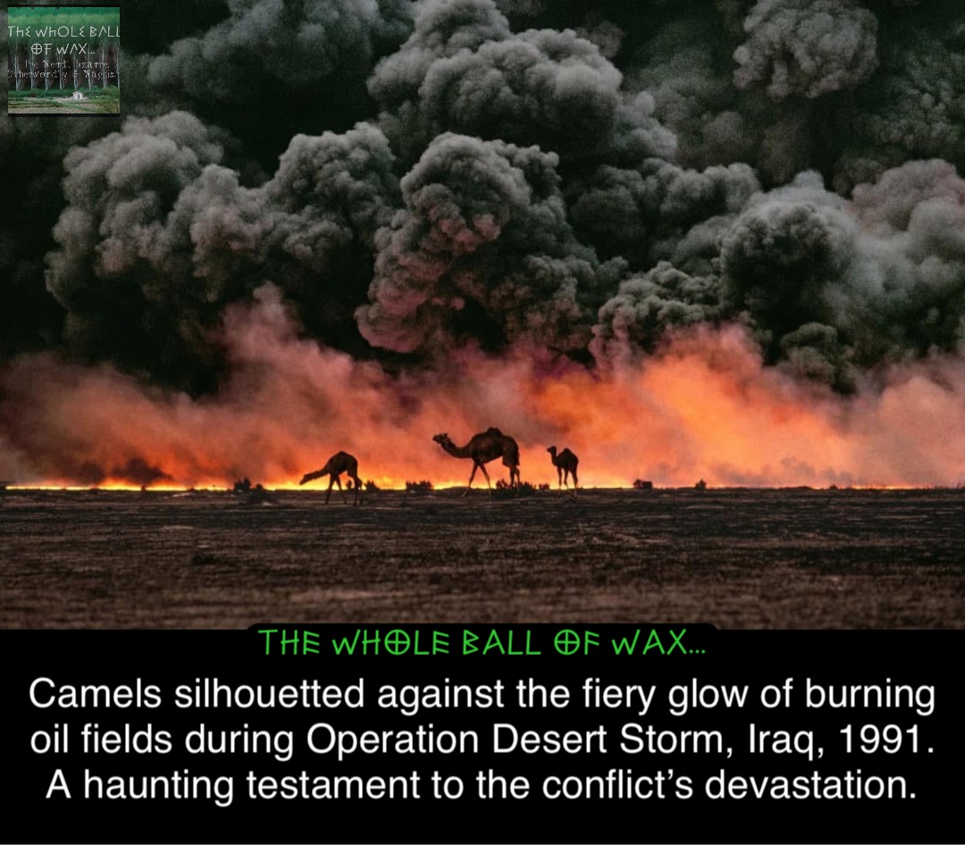 Double tap to edit Camels silhouetted against the fiery glow of burning oil fields during Operation Desert Storm, Iraq, 1991. A haunting testament to the conflict’s devastation.