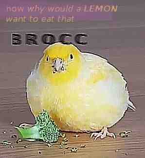 Meme shared by @STEALT_BLADE