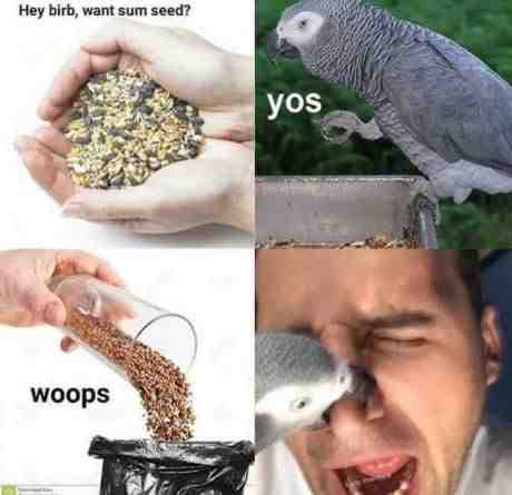 Meme shared by @STEALT_BLADE