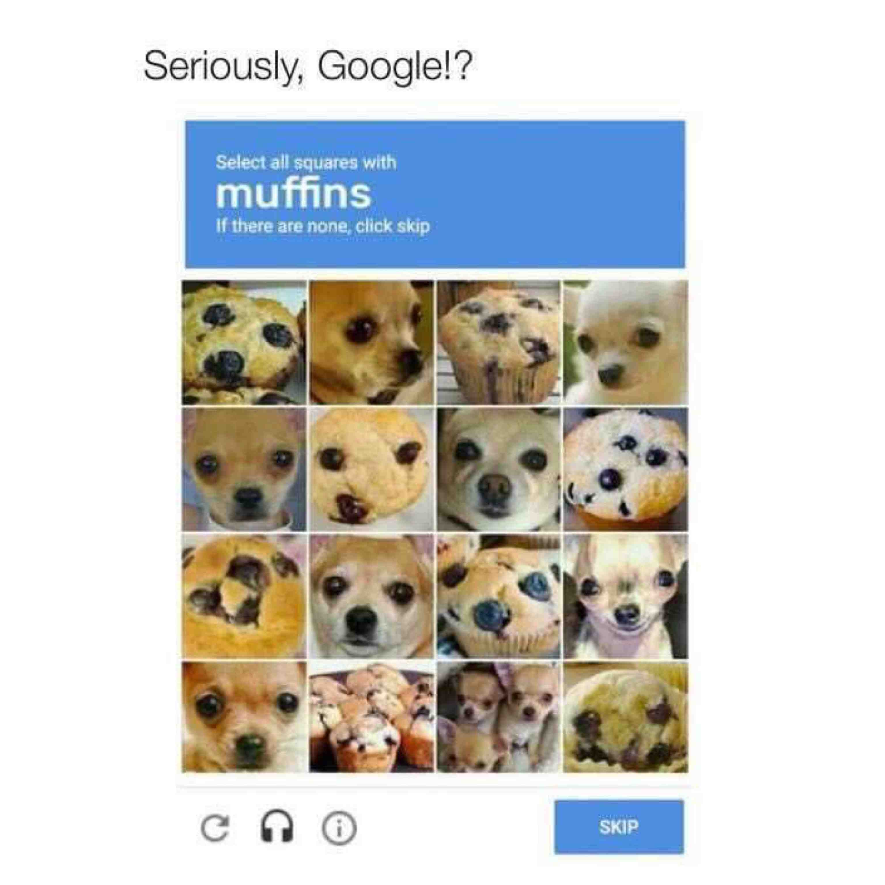 WTF GOOGLE! #google #dog #really #forreal #wtf #meme #pet #animal #robot
