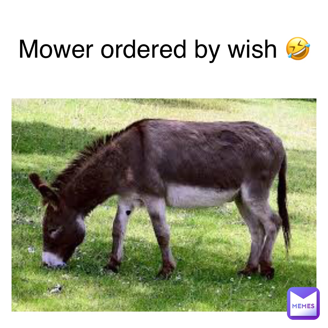 mower ordered by wish 🤣