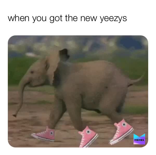 The yeezys  #shoes  #let_me_live