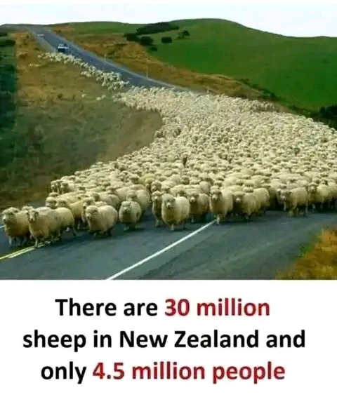 Meme by jamestembo134