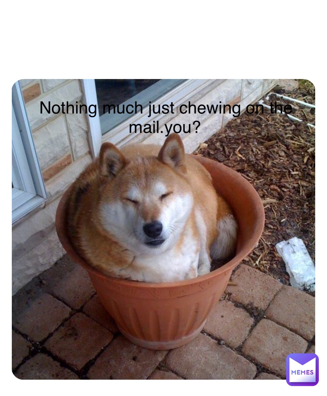 Meme by dnsnejjehfhejej