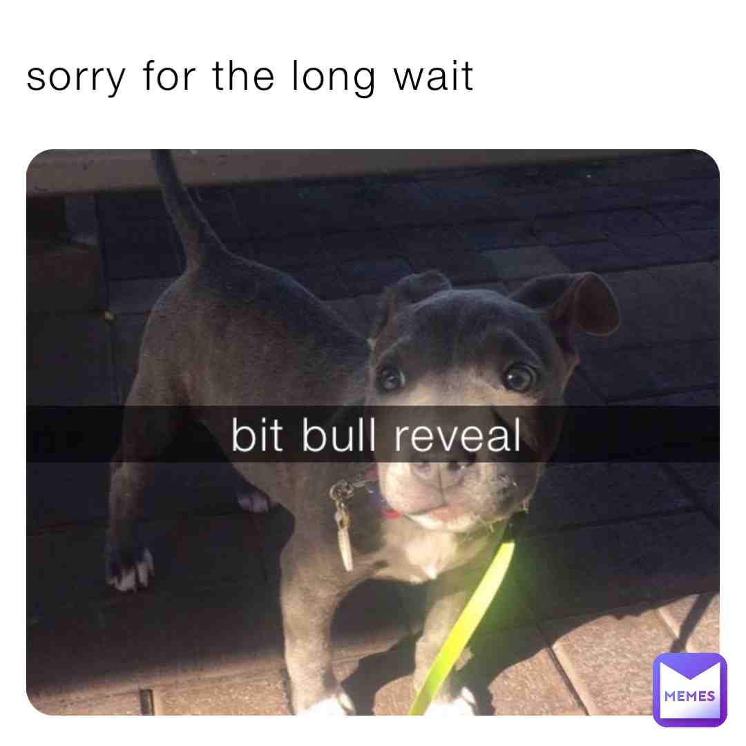 im back y’all