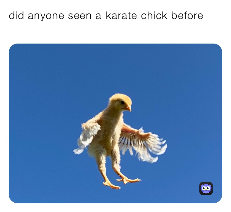 did anyone seen a￼ karate chick before 
