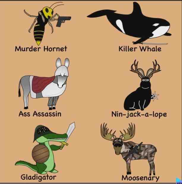 Meme shared by @da_mlg_derp