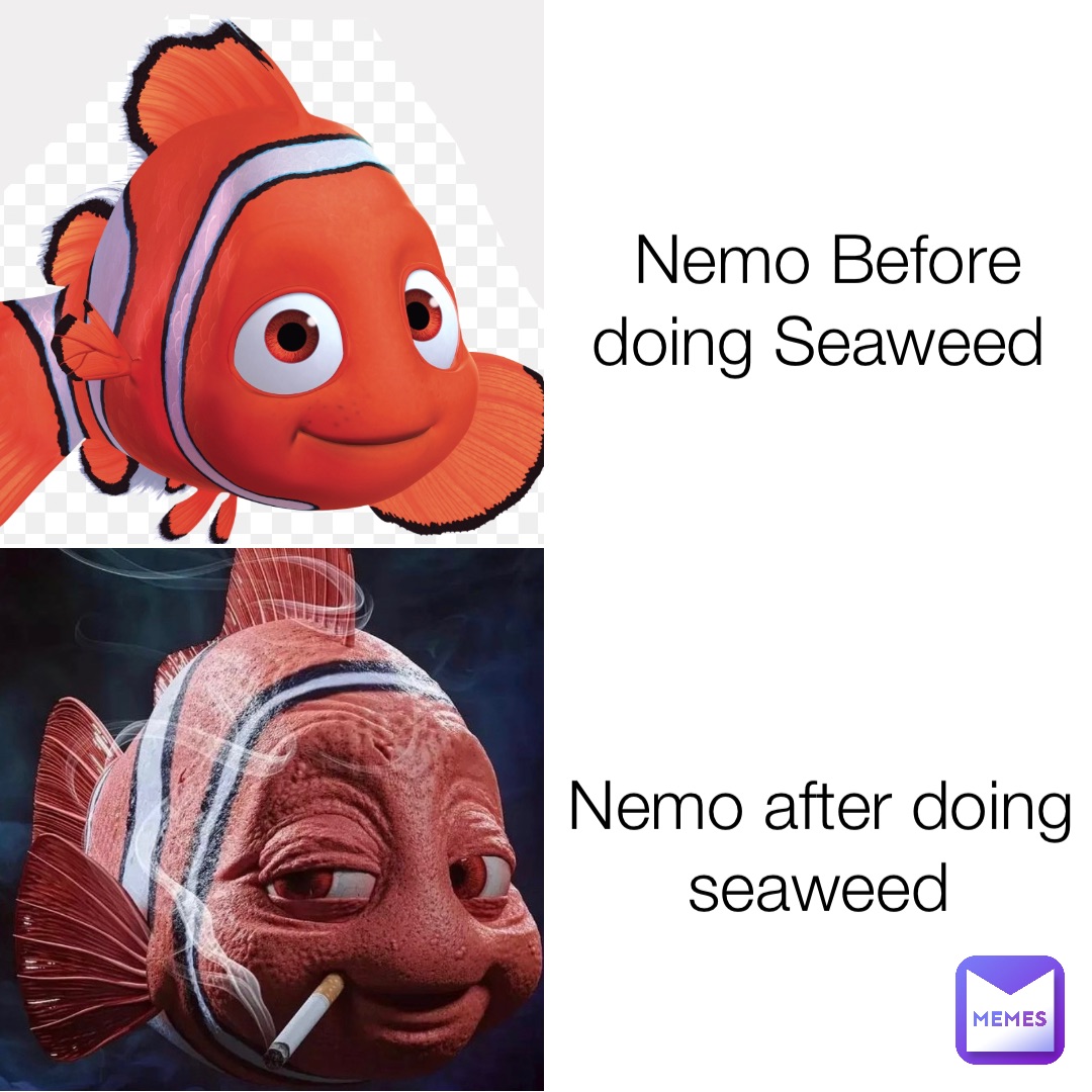 Nemo Before doing Seaweed Nemo after doing seaweed | @american_human ...