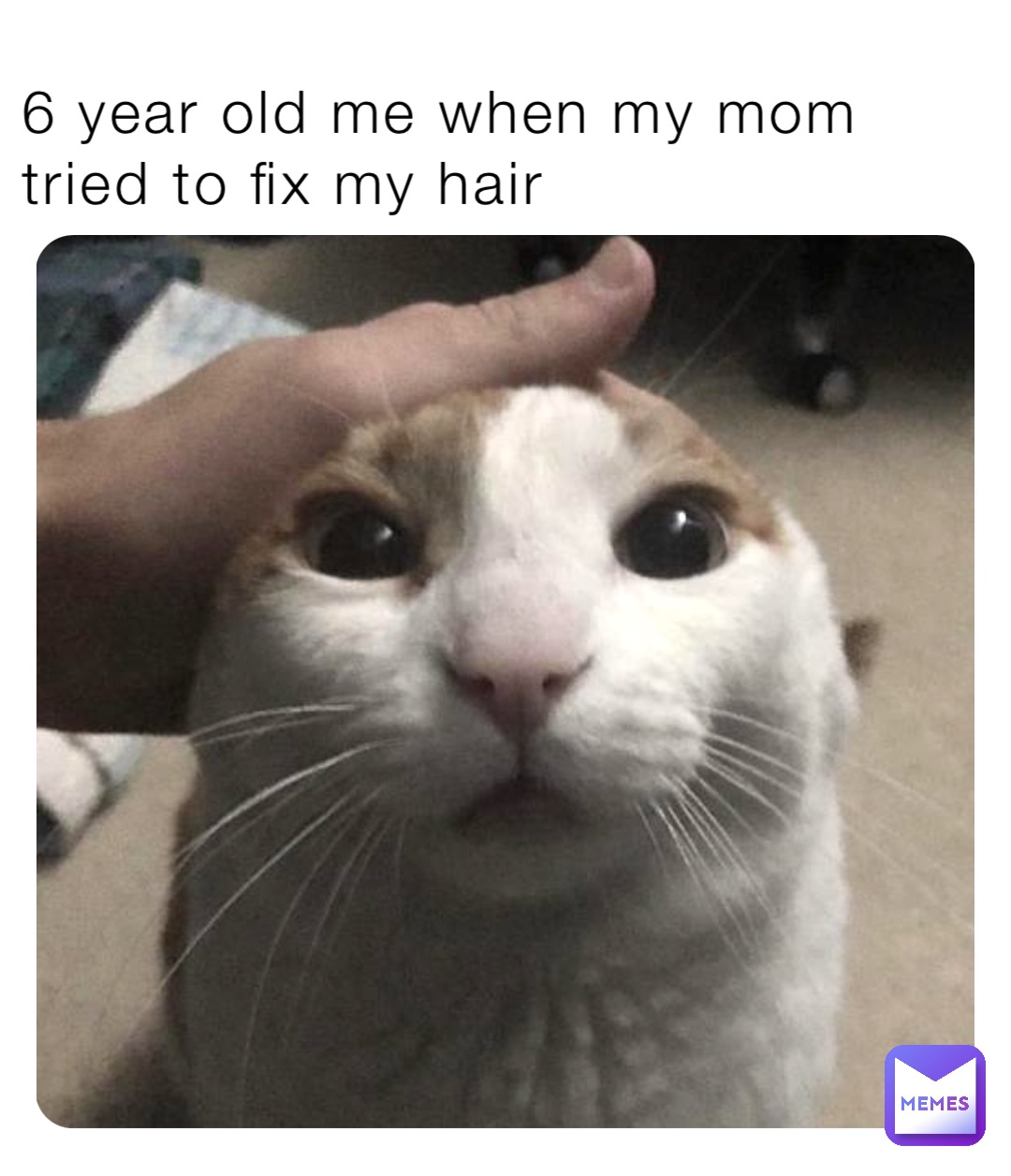 Meme by lily_thegreat