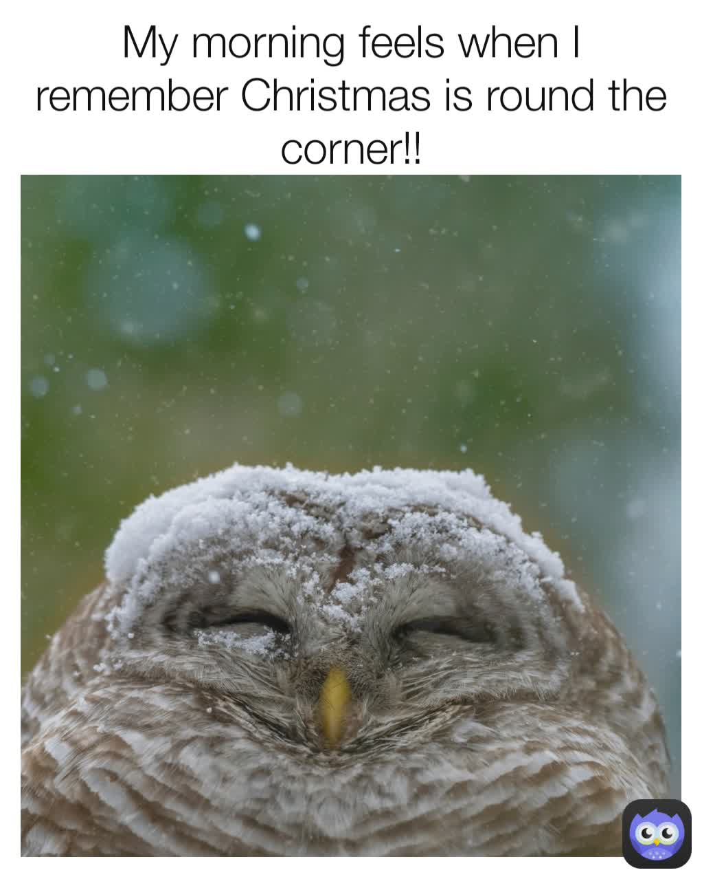 Meme by wildlifecomedy