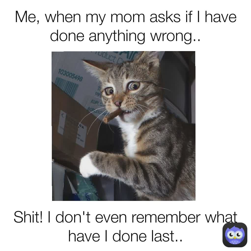 Meme by wildlifecomedy