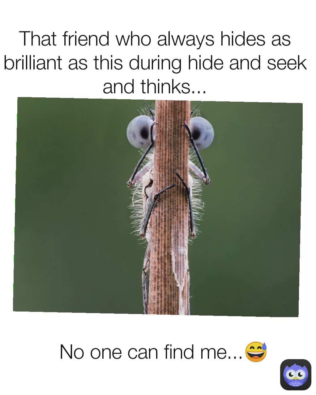 Meme by wildlifecomedy