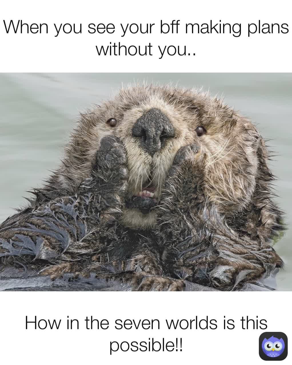 Meme by wildlifecomedy