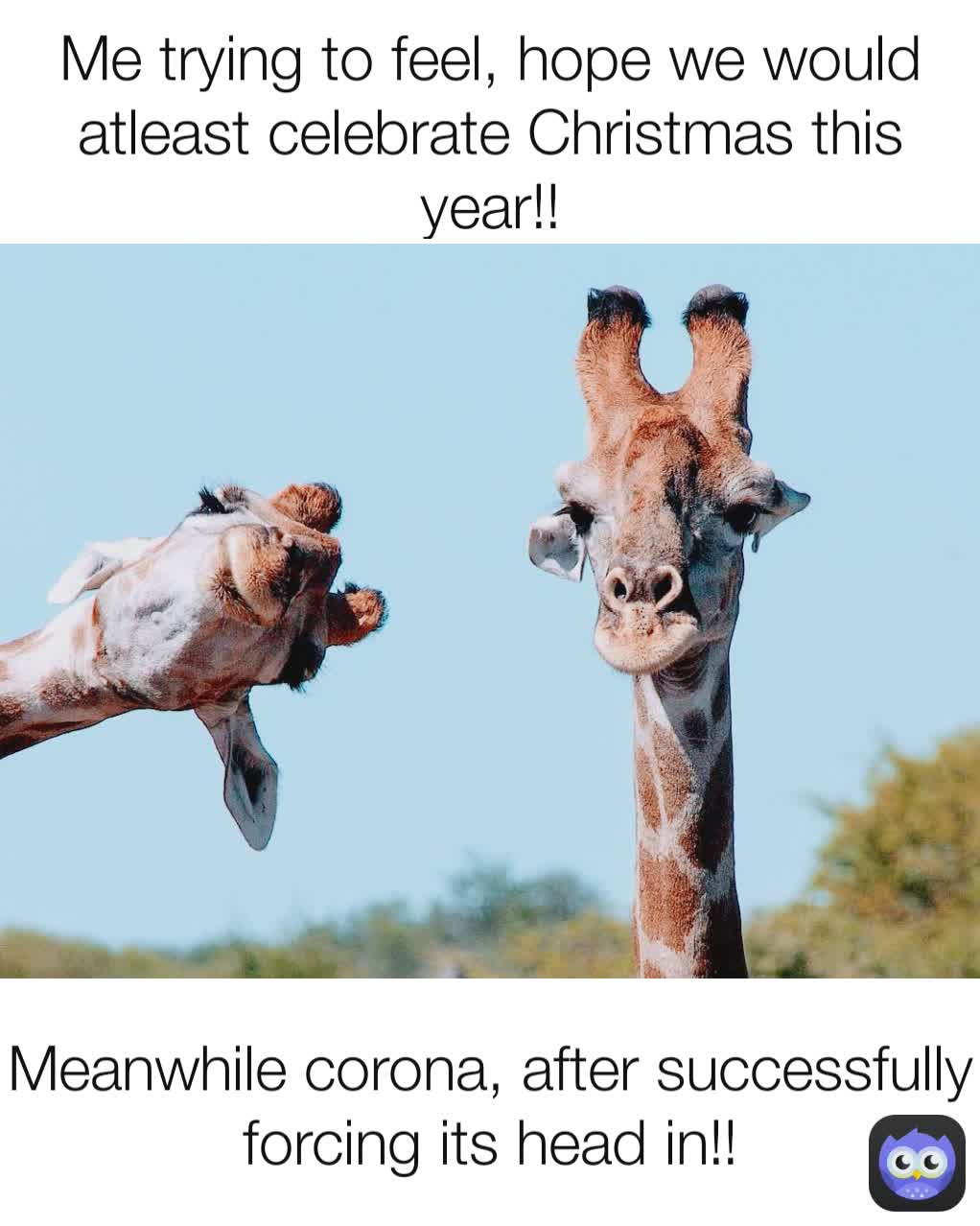 Meme by wildlifecomedy