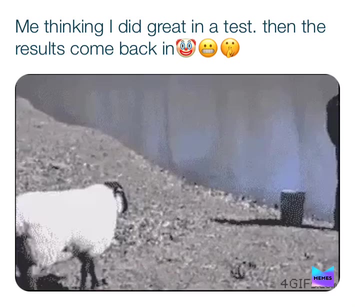 Post by baby_carrot Memes