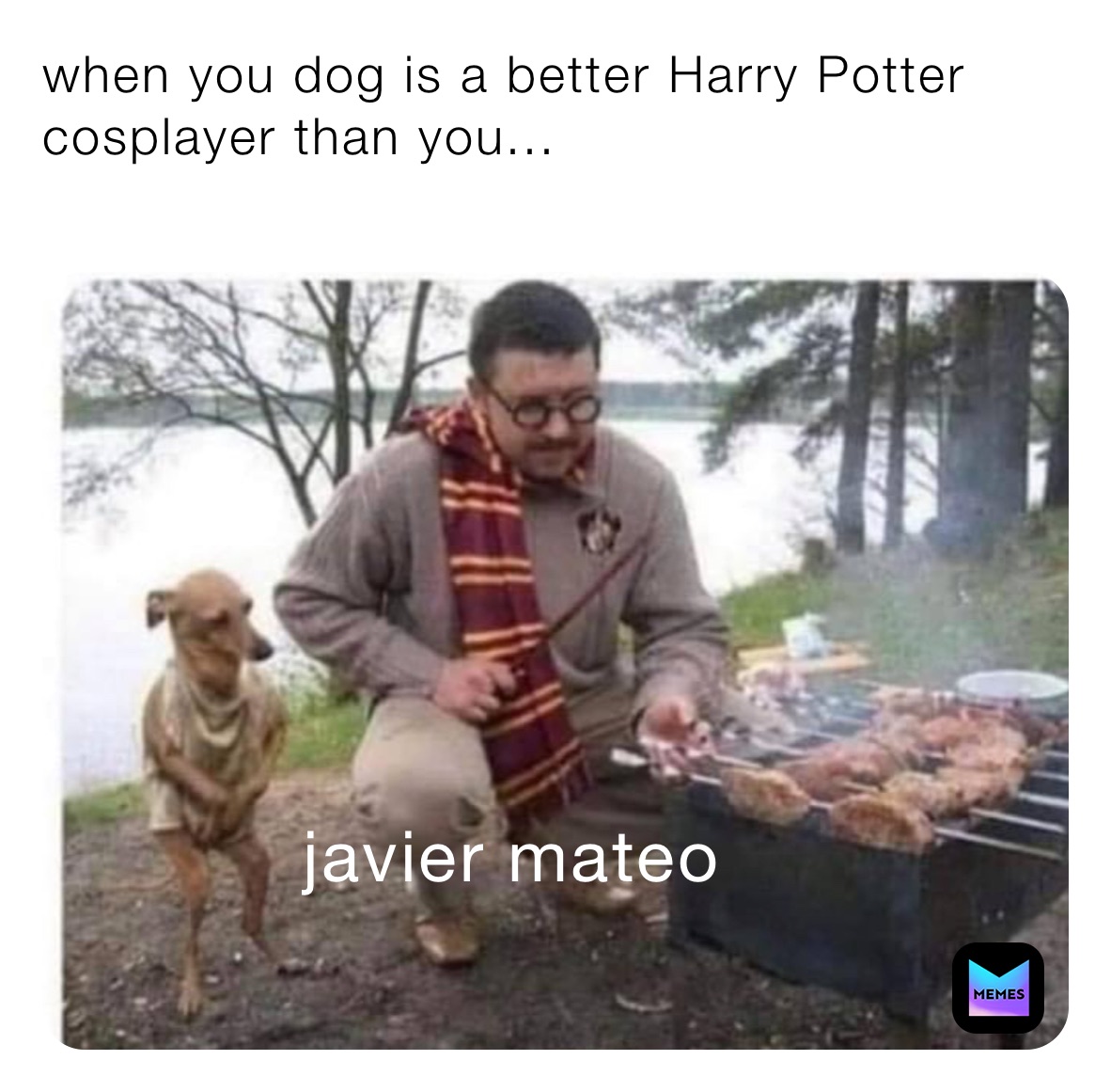 when you dog is a better Harry Potter cosplayer than you...
