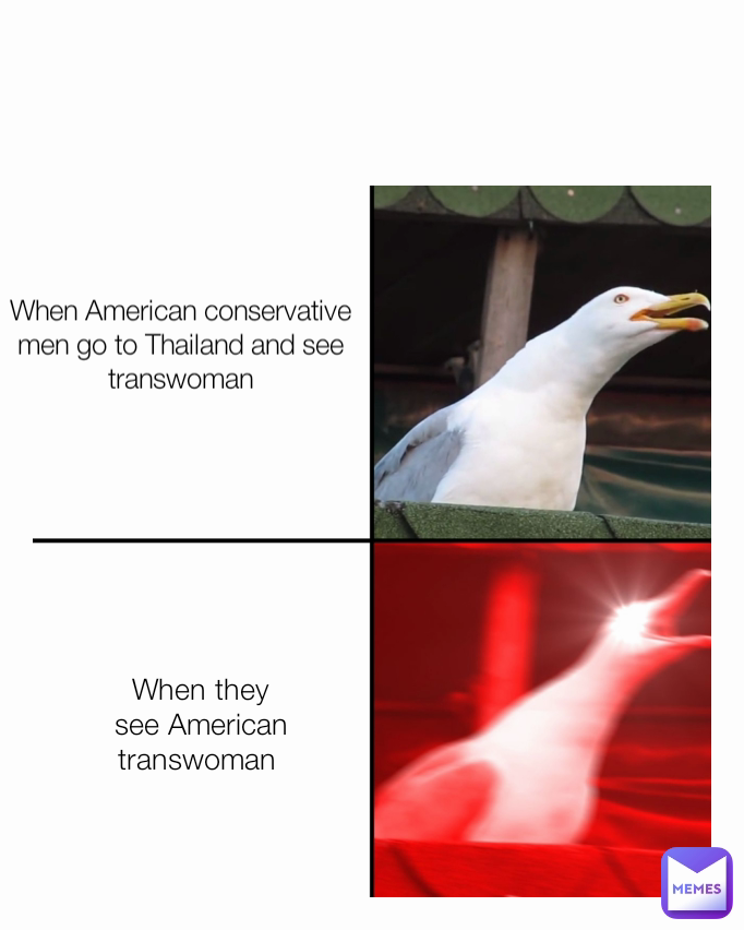 When American conservative men go to Thailand and see transwoman When they see American transwoman 