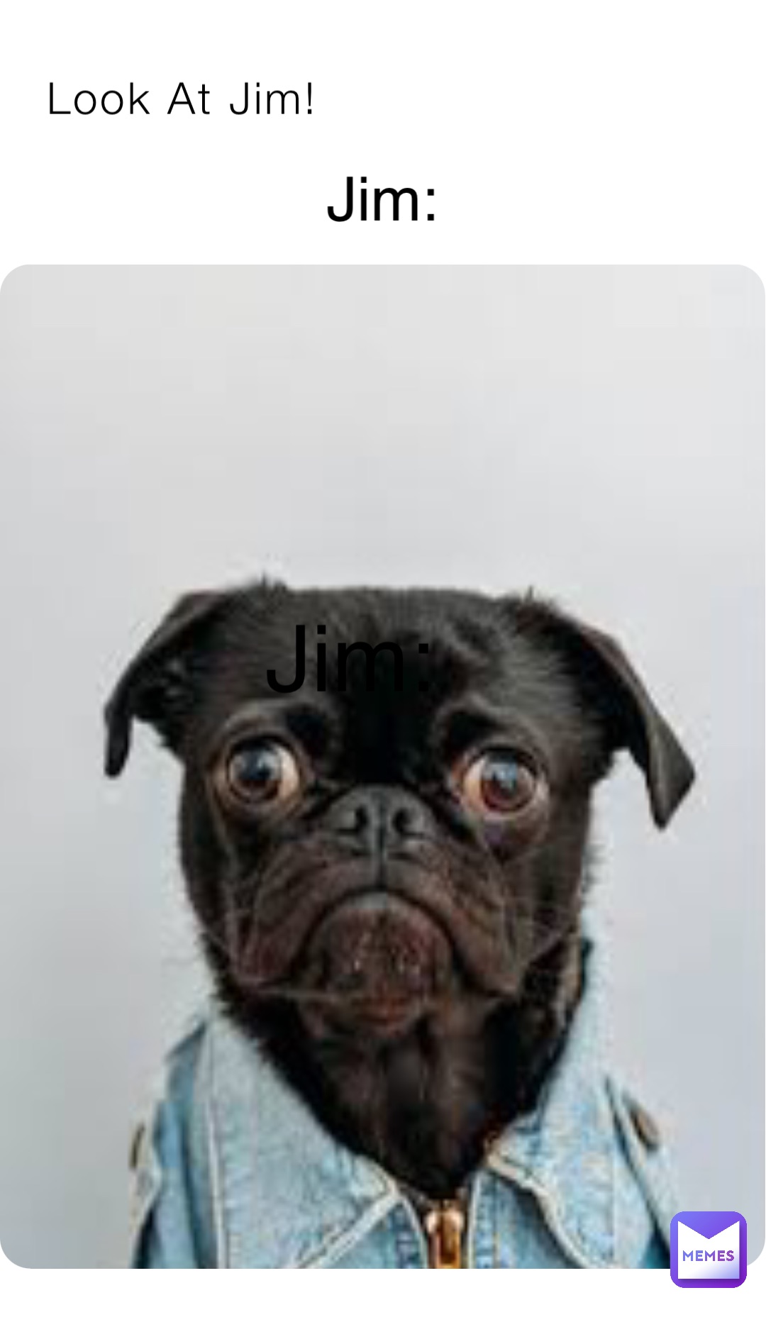 Look At Jim! Jim: Jim: