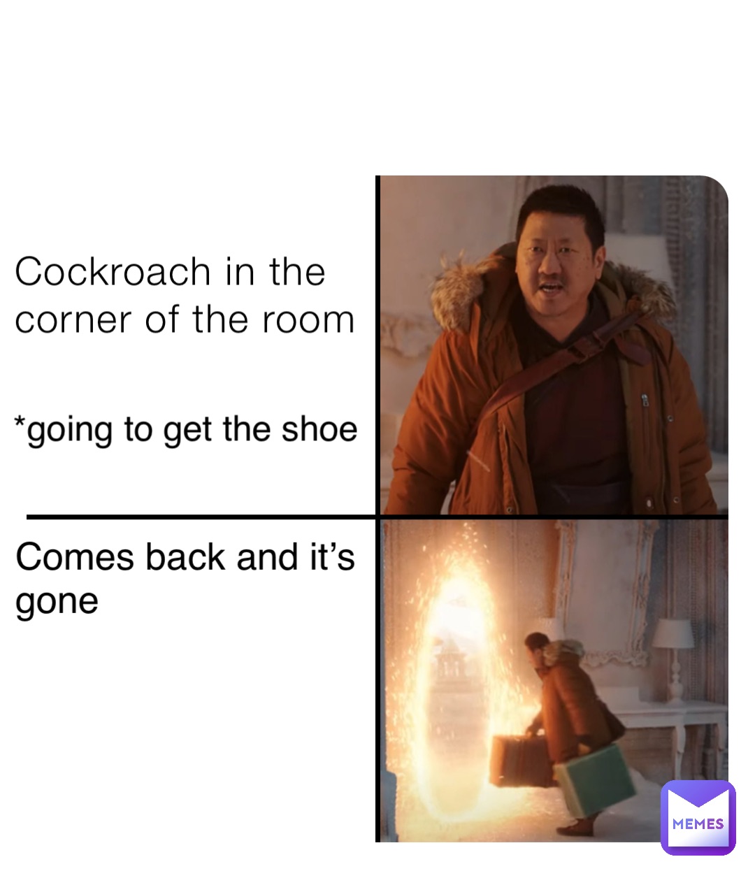 Cockroach in the corner of the room *going to get the shoe Comes back and it’s gone