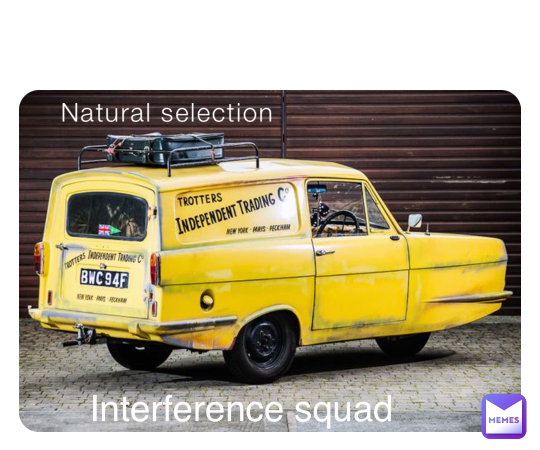 Natural selection Interference squad