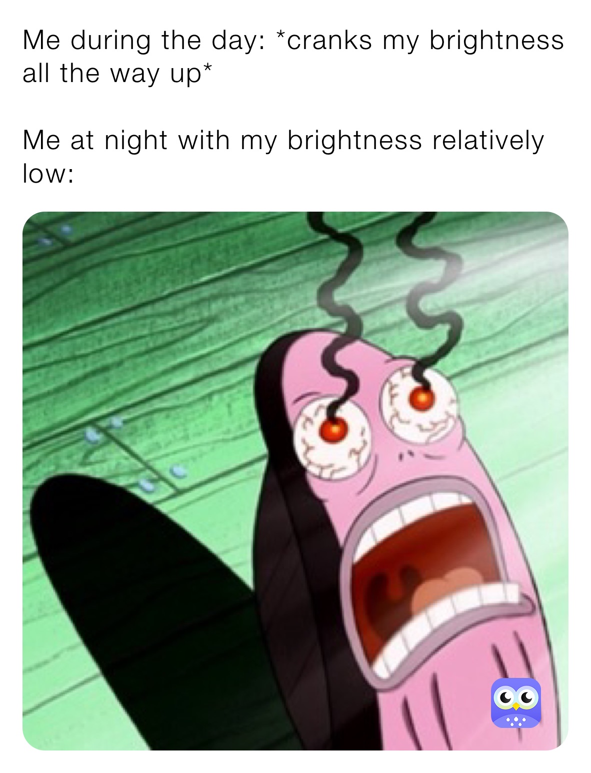 Me during the day: *cranks my brightness all the way up*

Me at night with my brightness relatively low: 