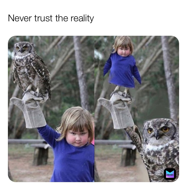 Never trust the reality