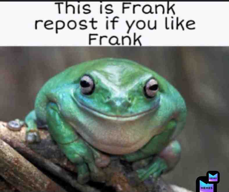 Meme preview