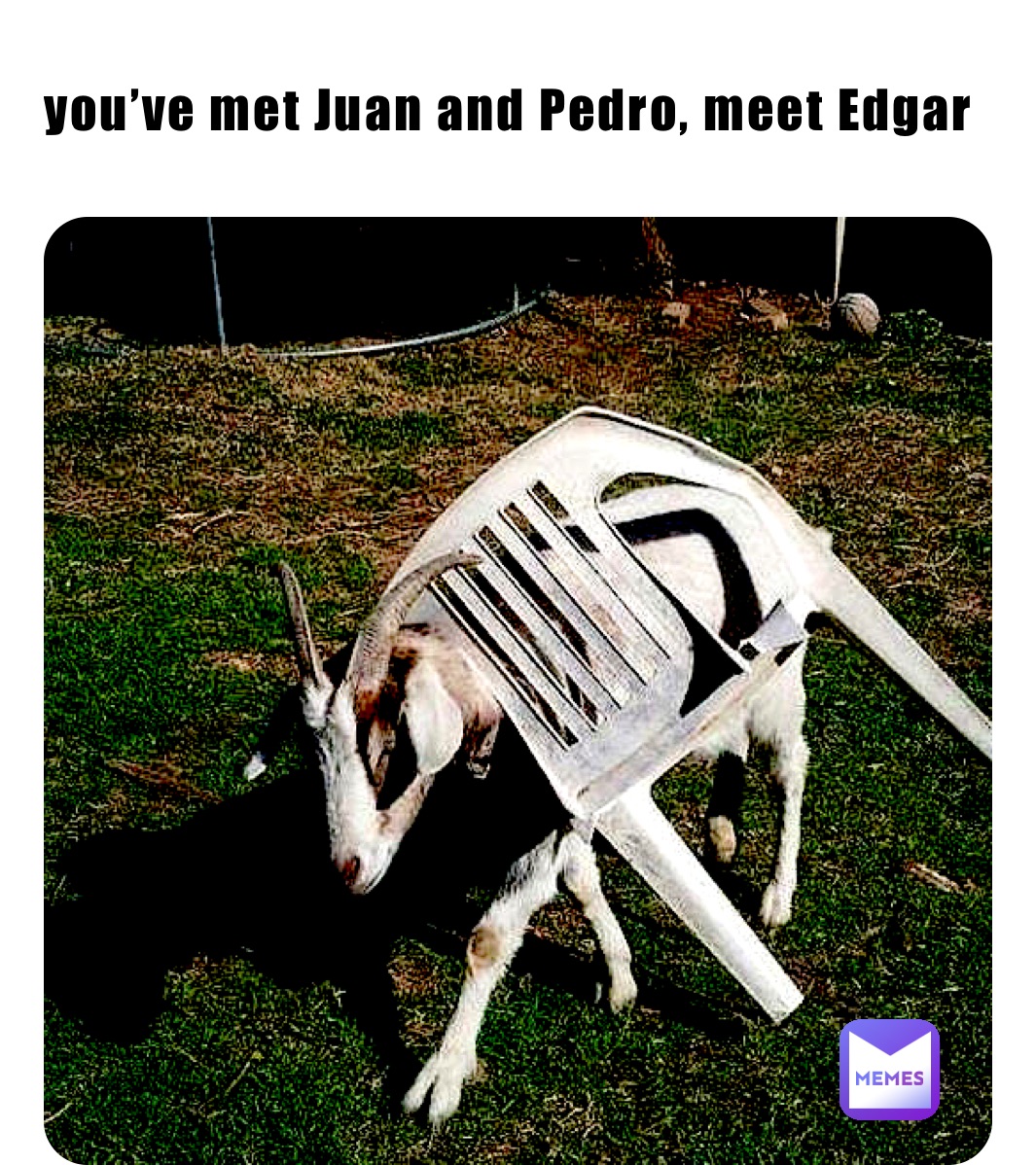 you’ve met Juan and Pedro, meet Edgar  meet Edgar 