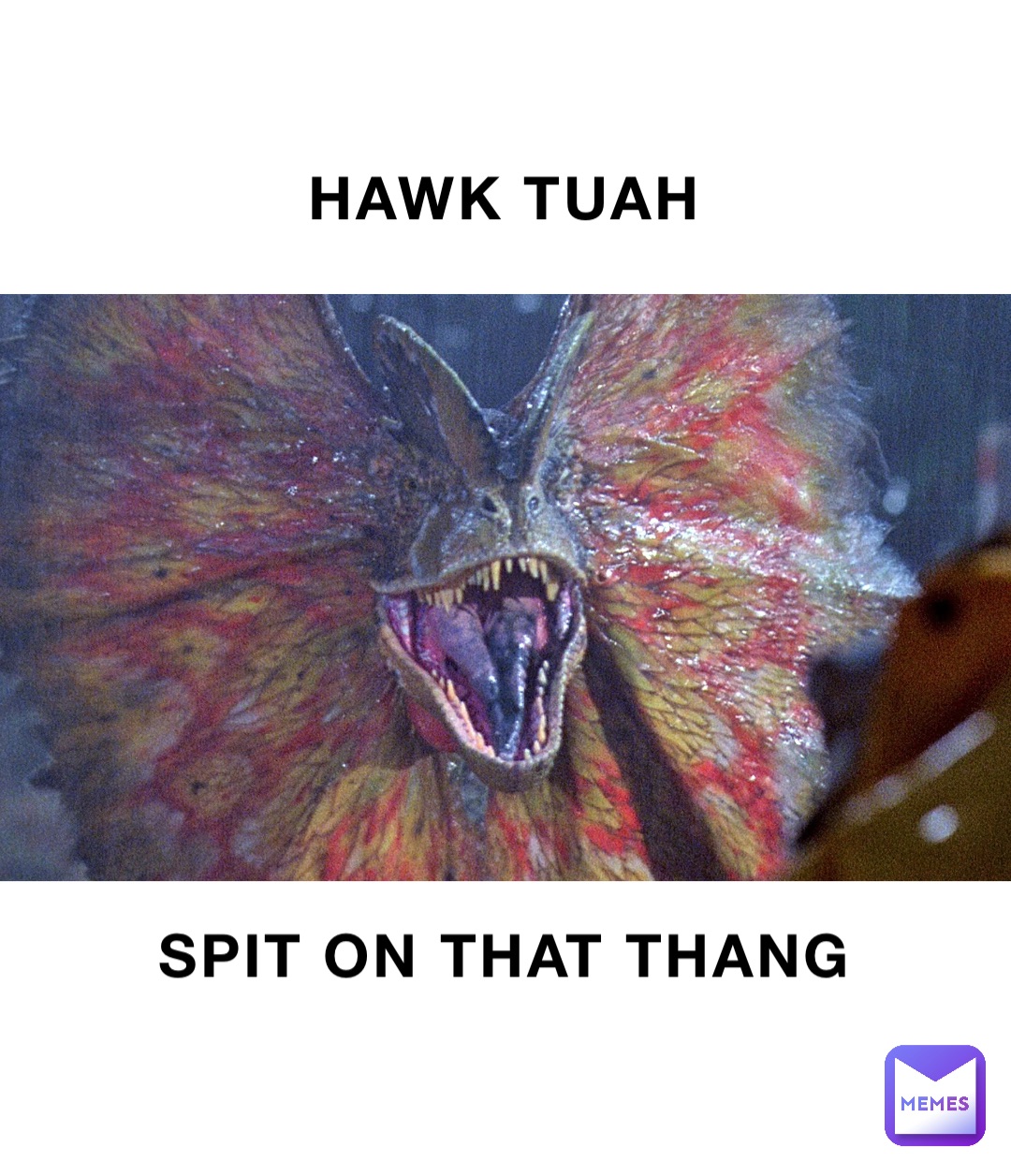 HAWK TUAH SPIT ON THAT THANG