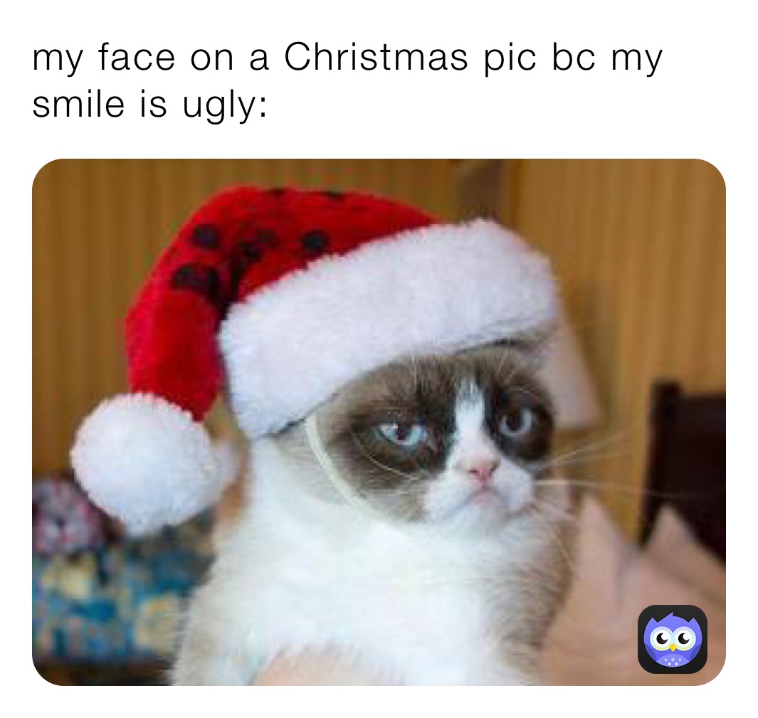 my face on a Christmas pic bc my smile is ugly: